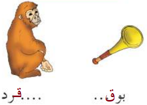 بوق - قرد